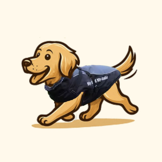 Winter Coat – All-Weather Comfort for Large Dogs