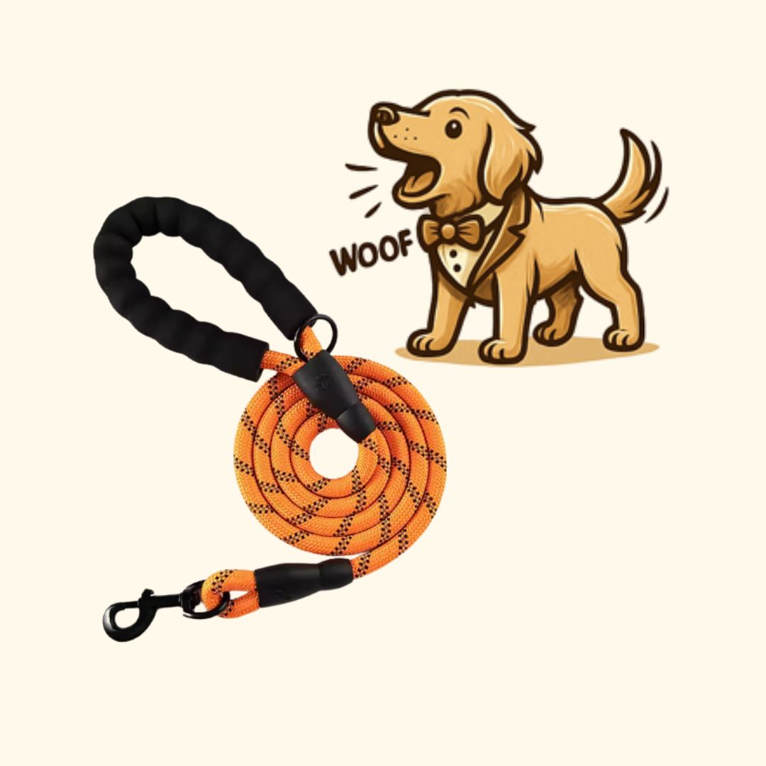 Reflective Dog Leash