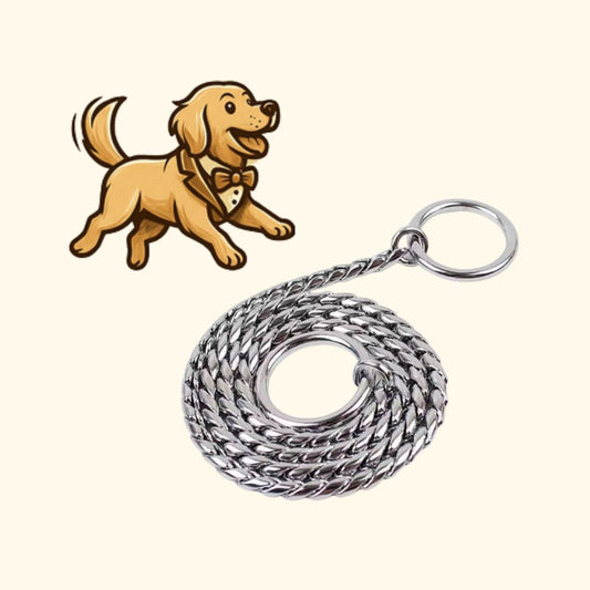 Stainless Steel Dog Leash