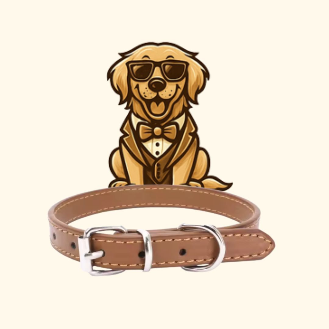 Collars