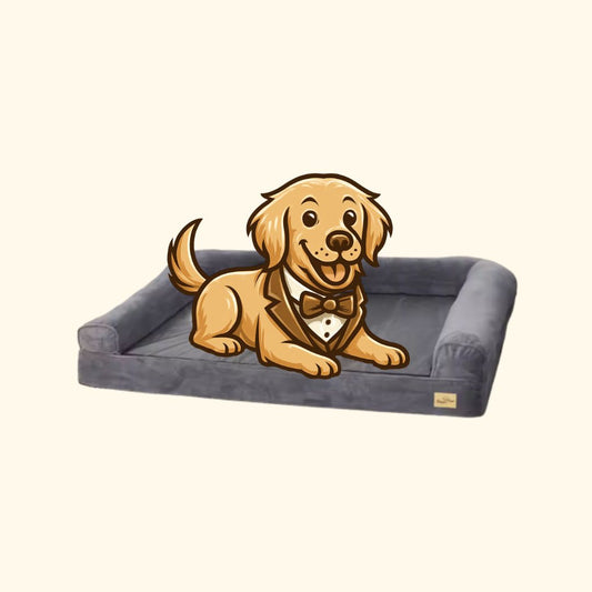 Orthopaedic Dog Bed