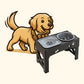 Barksby 3-in-1 Adjustable Dog Feeder