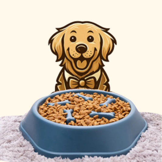 Slow Feeder Bowl