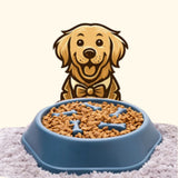 Anti-Choking Slow Feeder Dog Bowl